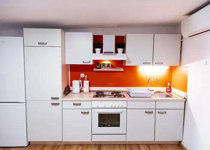 公寓 Apartma Remi Ii *